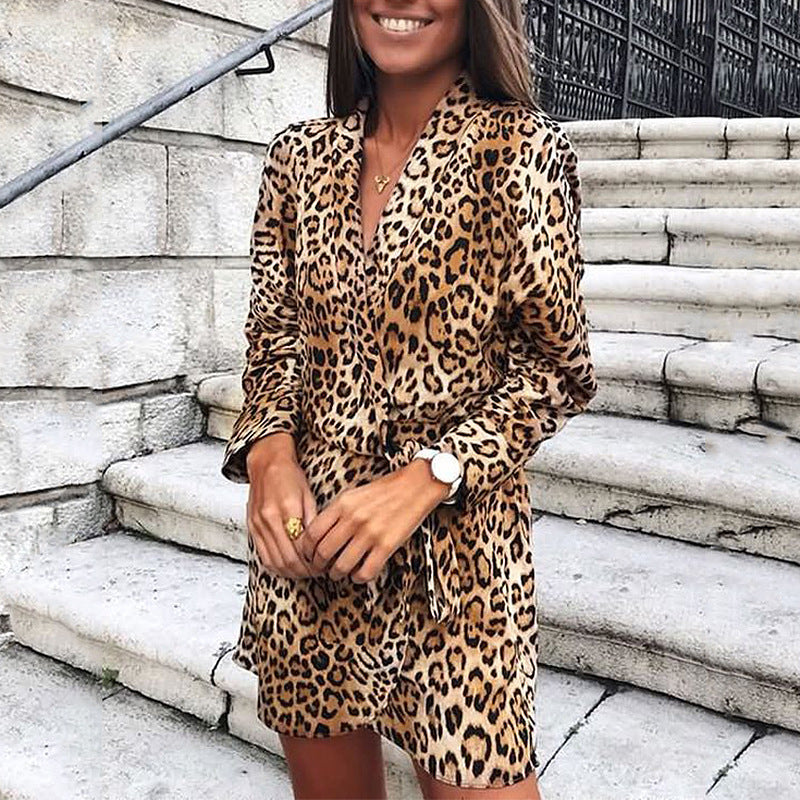 Leopard Printed Mini Dress