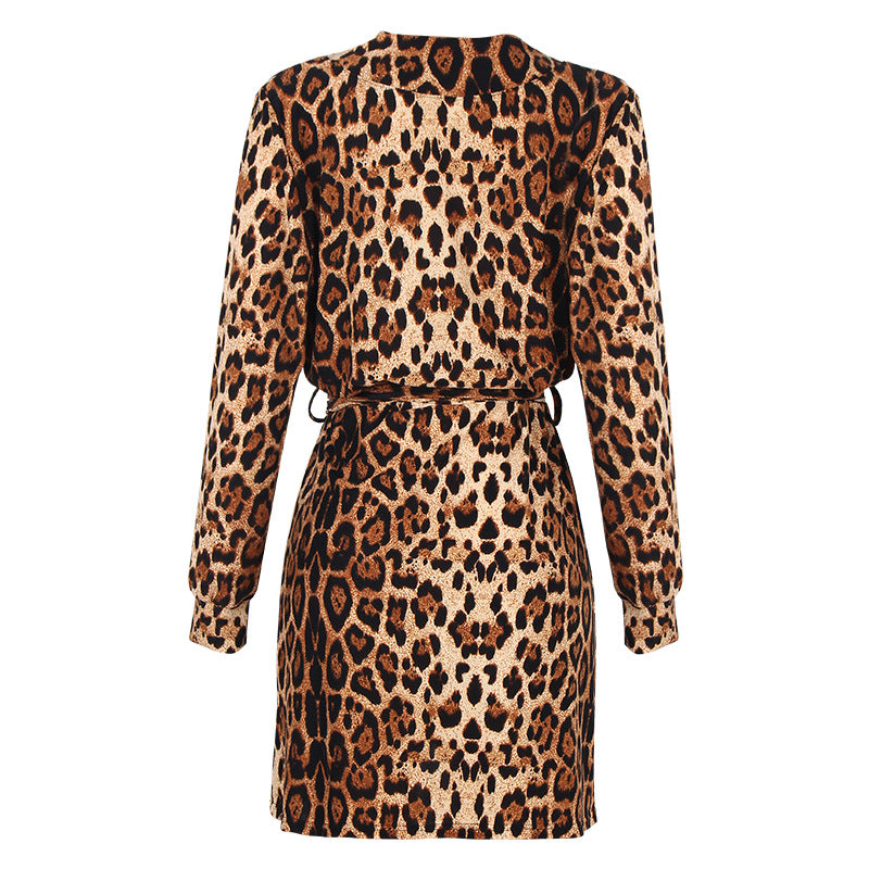 Leopard Printed Mini Dress